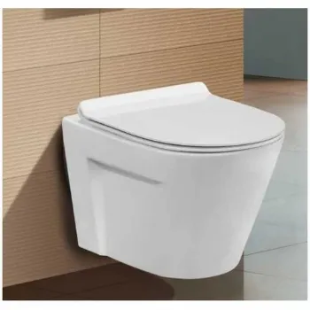 Polished Wall Hung Toilet