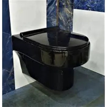 Durable Wall Hung Toilet
