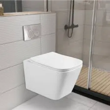 Solid Wall Hung Toilet