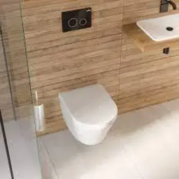 Wall Hung Toilet