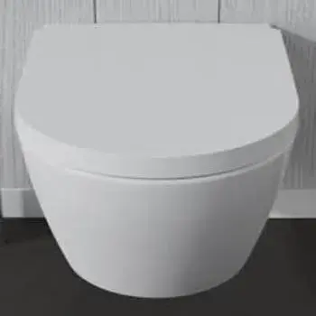 Wall Hung Toilet