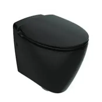Dark Black Wall Hung Toilet