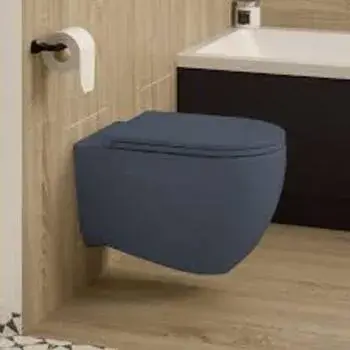 Blue Wall Hung Toilet