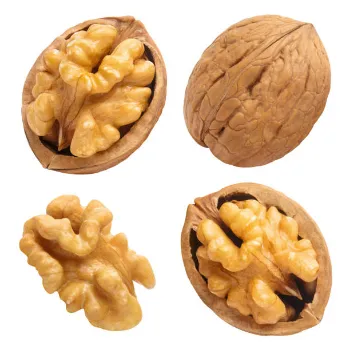  Walnut