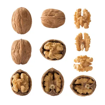 Walnut