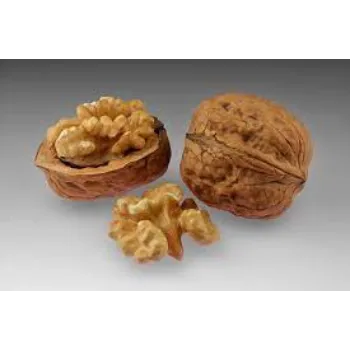 Dried Walnut