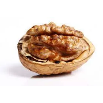 Shelled Walnuts