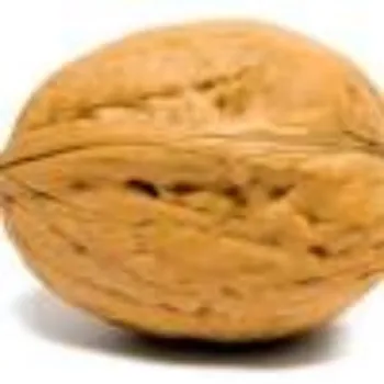 Natural Walnuts