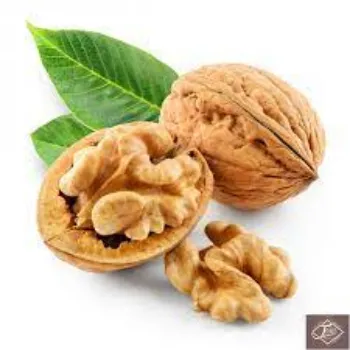 Common Walnuts