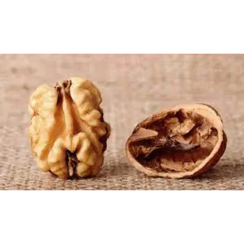 Common Walnuts