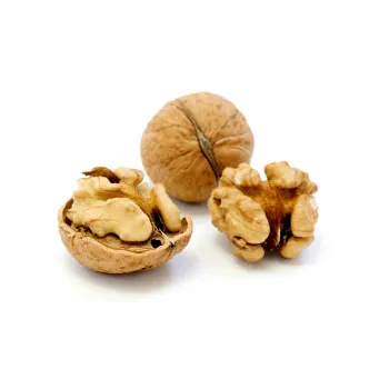 Fresh Walnut