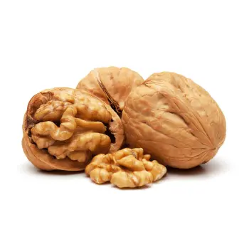 Common  Walnut