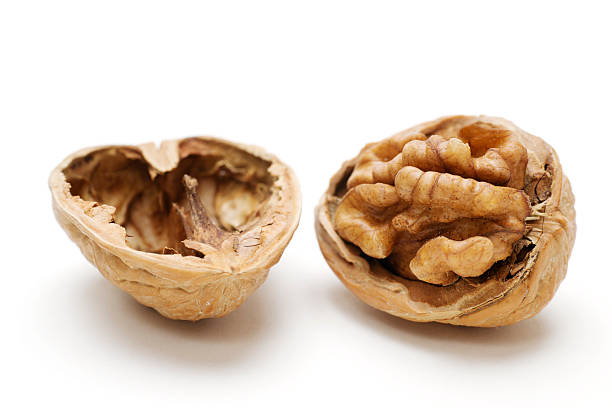 Fresh  Walnut