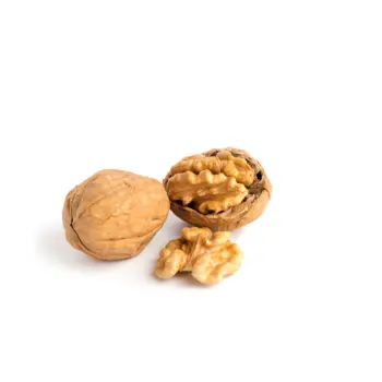 Organic  Walnut