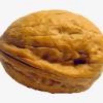 Organic Walnuts