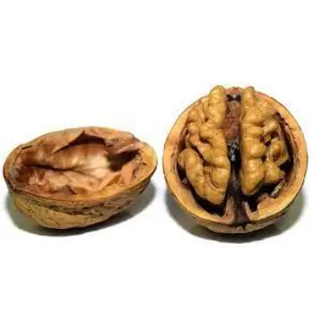 Natural Walnuts