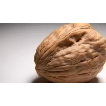 Common Walnuts