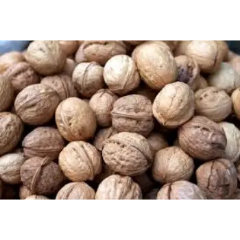 Common Walnuts