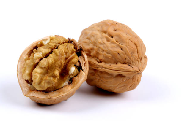 Fresh Walnut