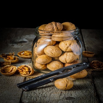 Walnut