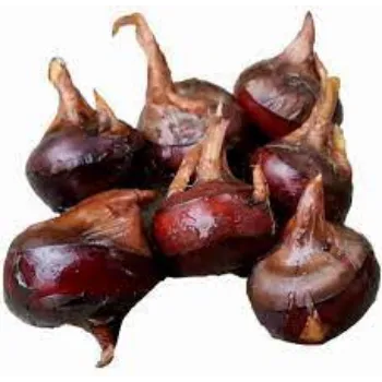Natural Water ChestNuts