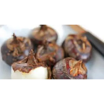 Natural Water ChestNuts