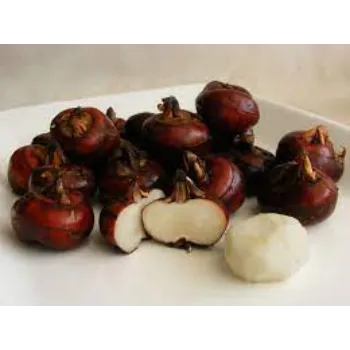 Common Water Chestnuts