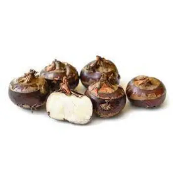 Common Water Chestnuts