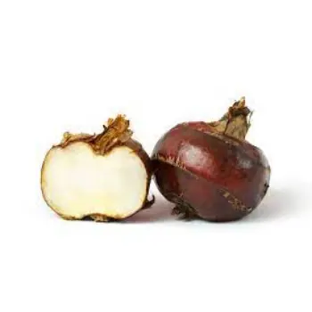 Natural Water Chestnuts