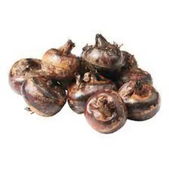 Natural Water Chestnuts