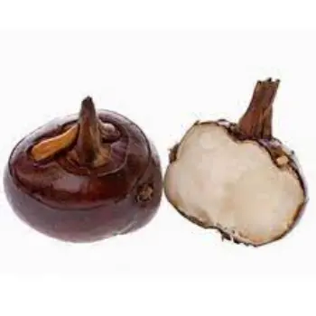 Common Water Chestnuts