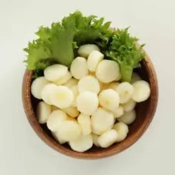 Common Water Chestnuts