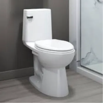 Solid Water Closet
