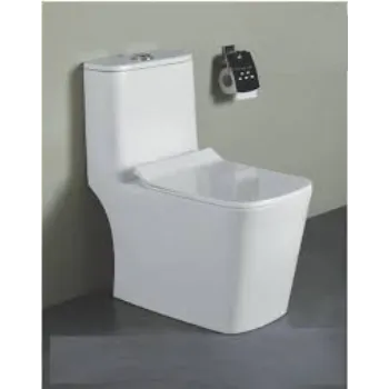 Plain Water Closet