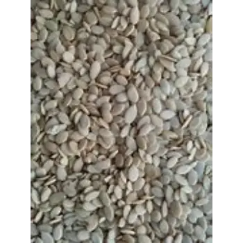 Watermelon Kernel