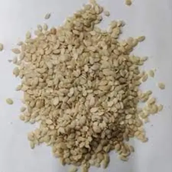 Natural Watermelon Kernels
