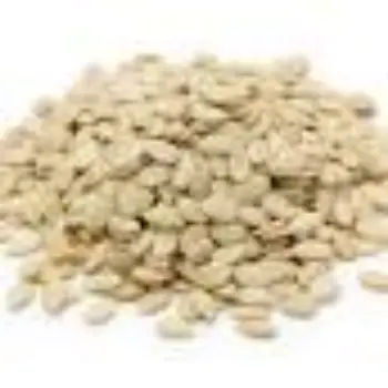 Natural Watermelon Kernels