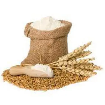 Good Quality Wheat Bag