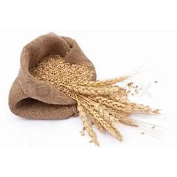 Multicolor Wheat Bag