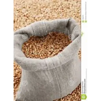 Seed Bags