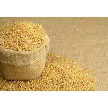 Attractive Wheat Bag