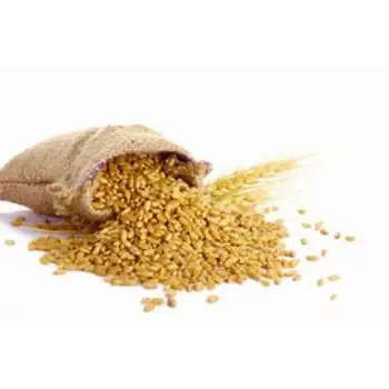 Wheat Bag