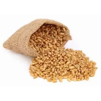 Wheat Bag