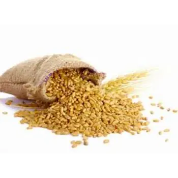 Wheat Bag