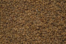 Wheat seeds
