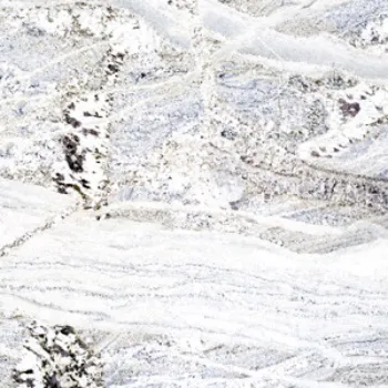 Stylish White Granite