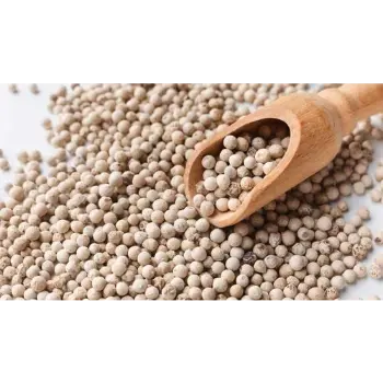 White Pepper