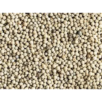 White Pepper