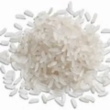 Common White Rice