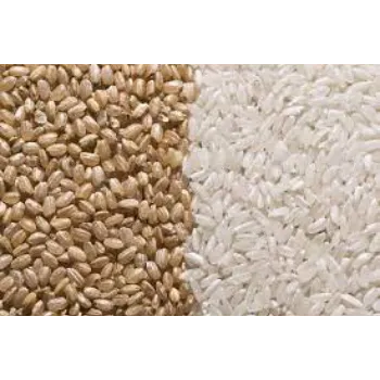 Organic Soft Rice